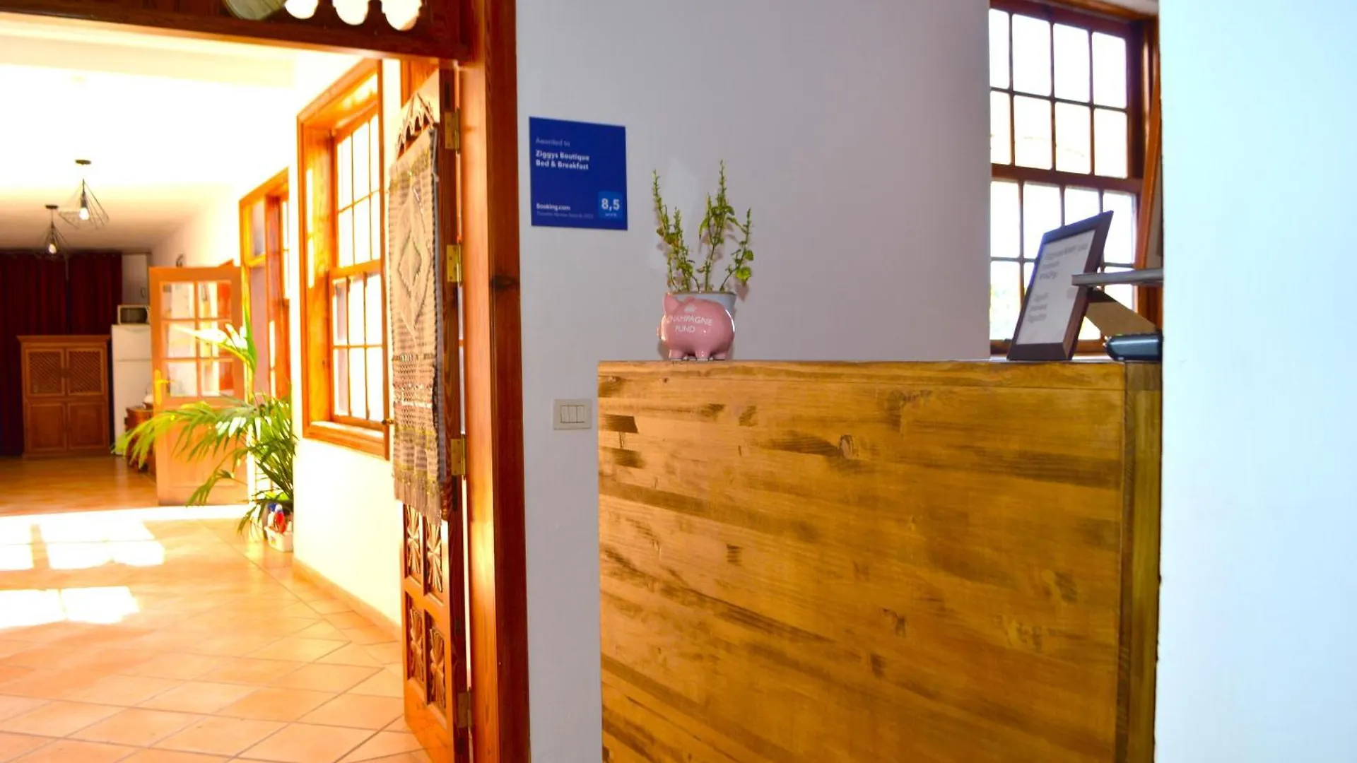 Ziggys Mountain Retreat (Adults Only) Bed & Breakfast Vilaflor