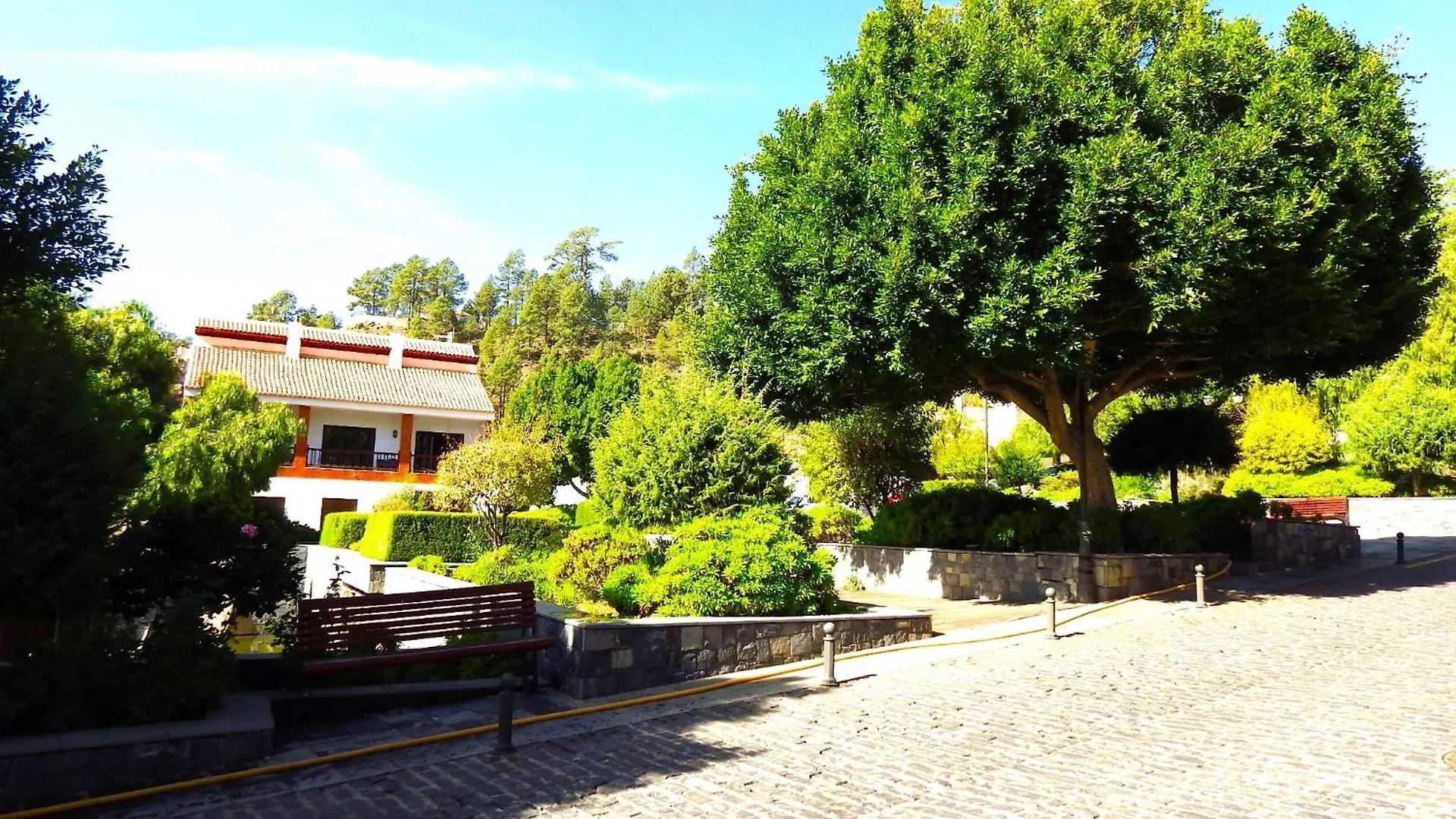 Ziggys Mountain Retreat (Adults Only) Bed & Breakfast Vilaflor 3*,  Spain